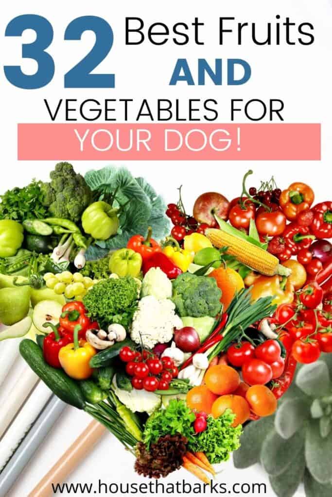 best fruits and vegetables for dogs