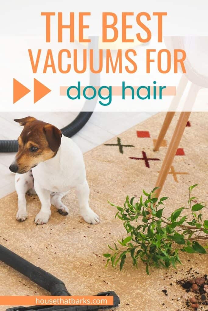 vacuum for dealing with pet hair