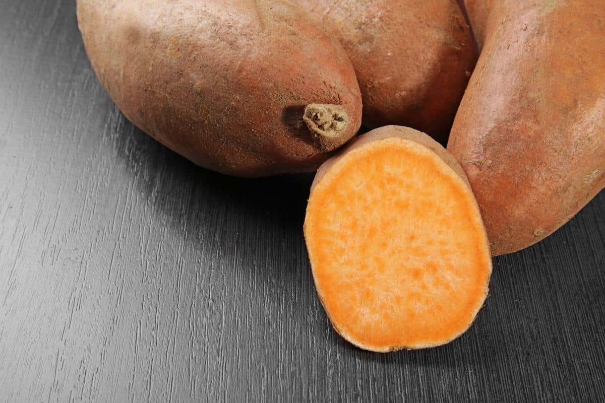 can dogs eat sweet potatoes