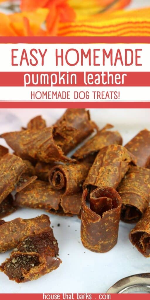 dehydrator pumpkin leather dog treats