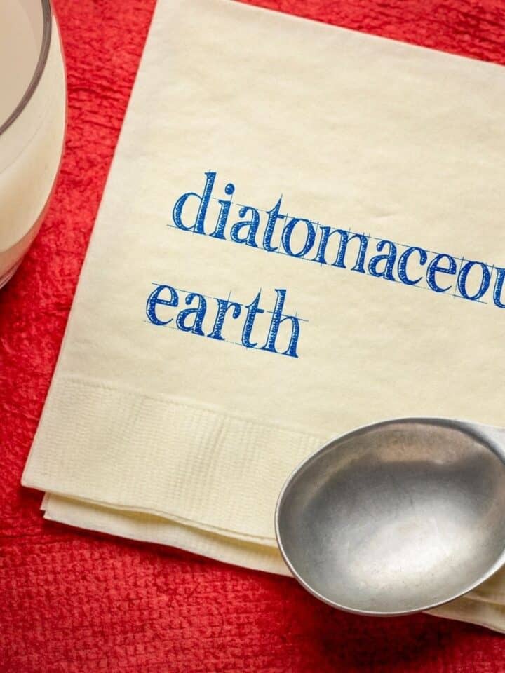 How to Use Diatomaceous Earth for Dog's Fleas, Worms and More