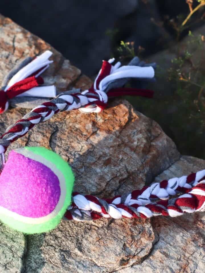 diy dog toys