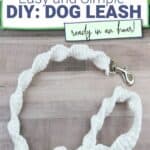 DIY Dog Leash PIN