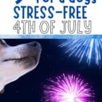 Tips for a Stress-free 4th of July for Dogs