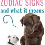 dogs zodiac signs PIN