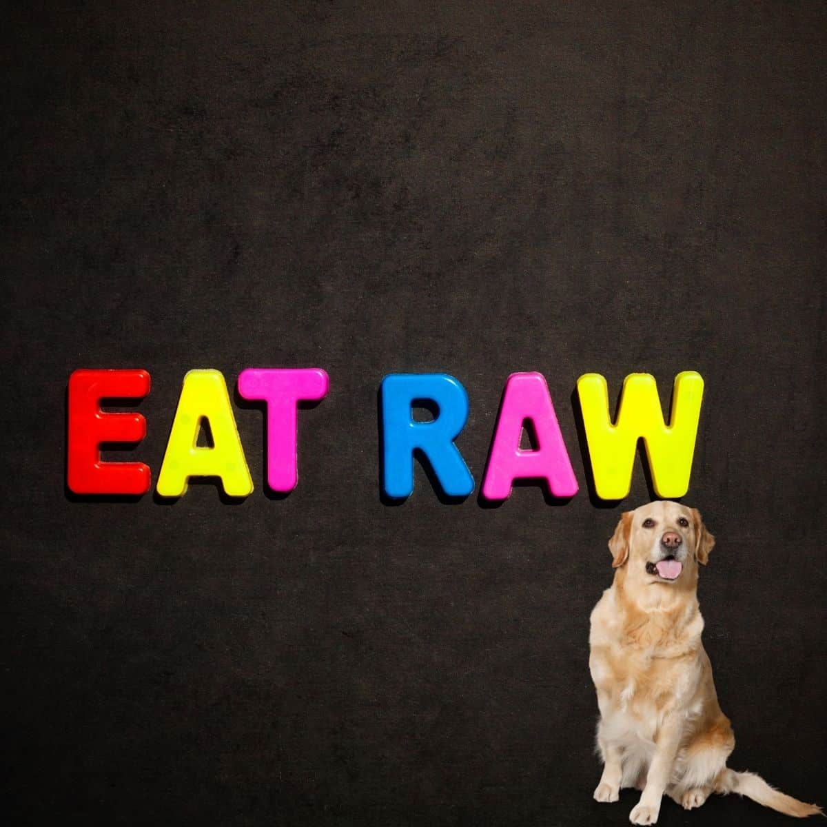 eat raw dog food