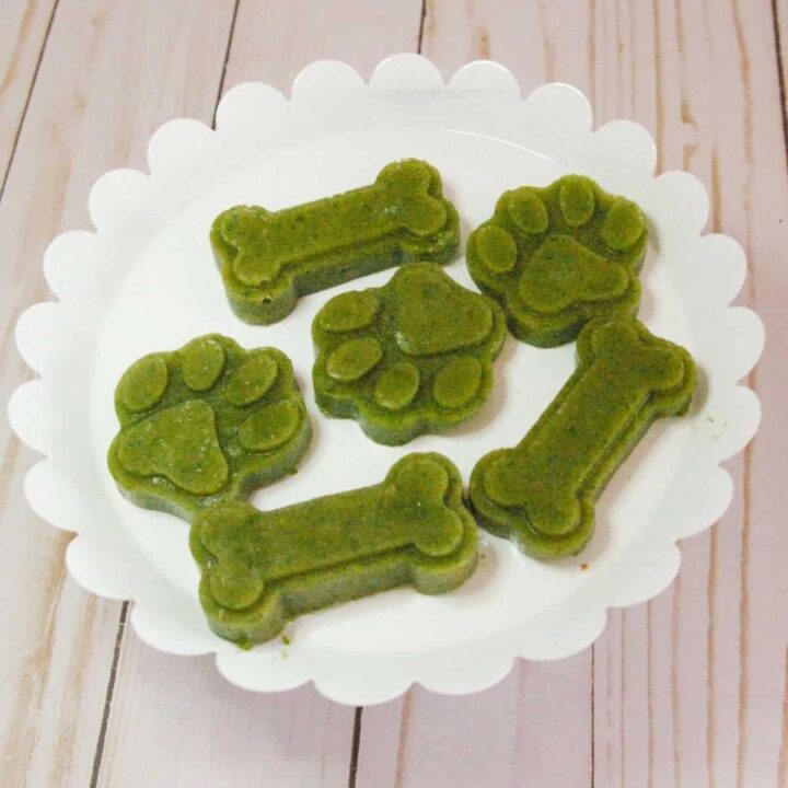 dog treats
