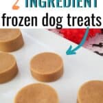 Super Easy 2-Ingredient Frozen Dog Treats
