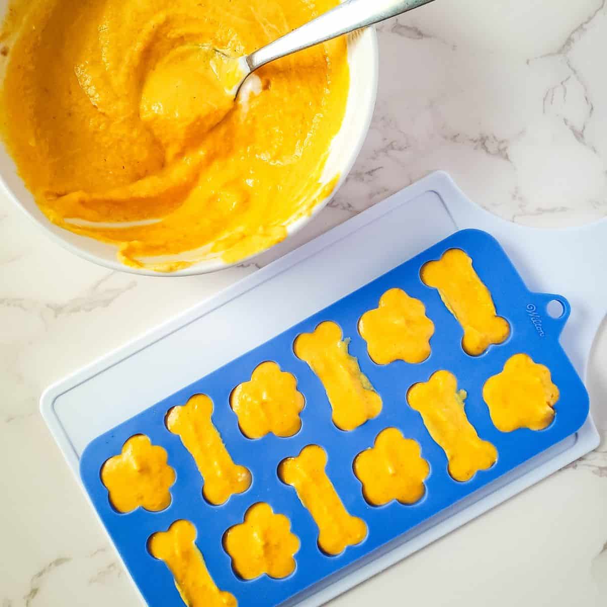 frozen pumpkin dog treats