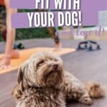 get fit with your dog PIN