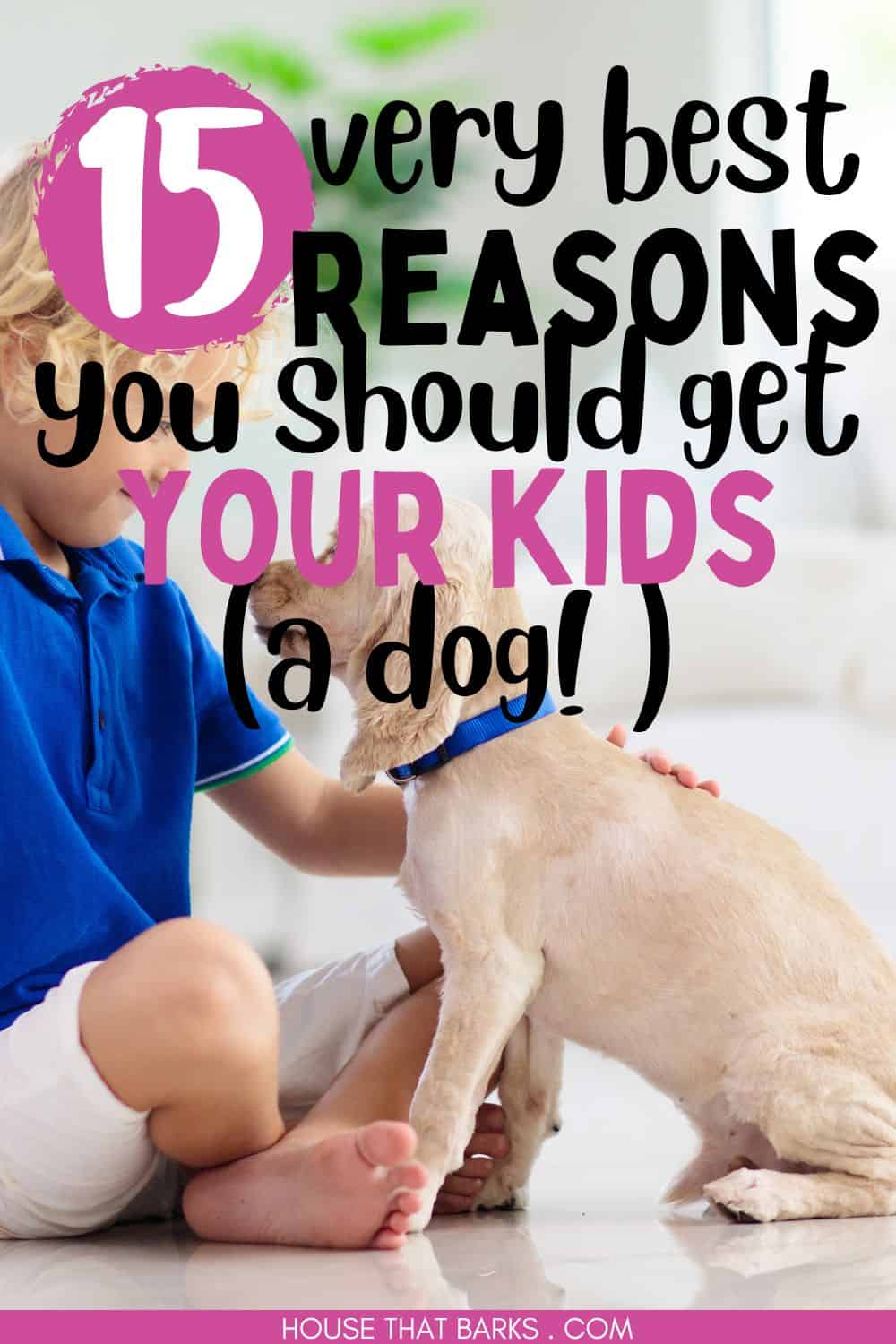 getting kids a dog