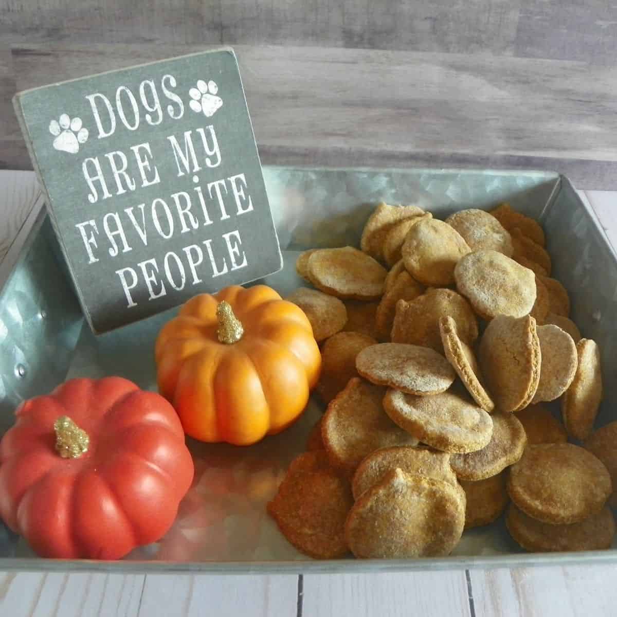 halloween pumpkin dog treats