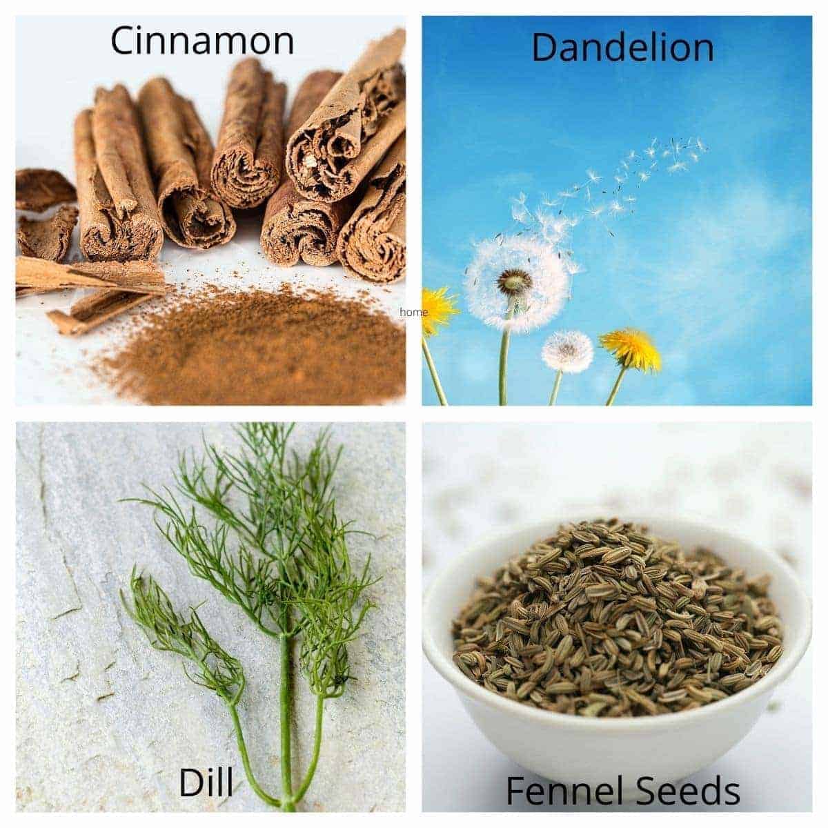 herbs for dog food