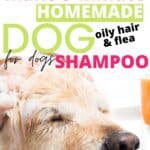 homemade dog shampoo
