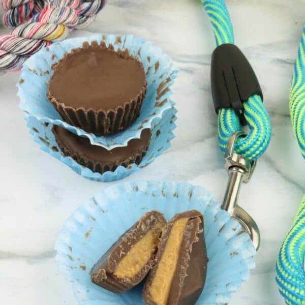 Homemade Peanut Butter Cups for Dogs - House that Barks