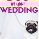 include dog in wedding
