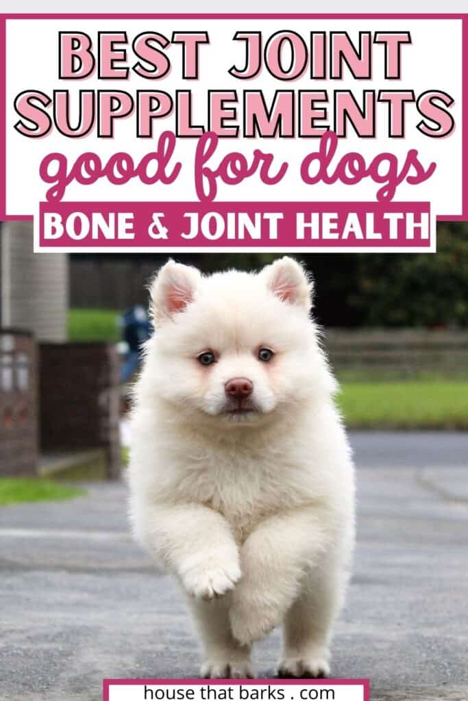 joint supplements for dogs