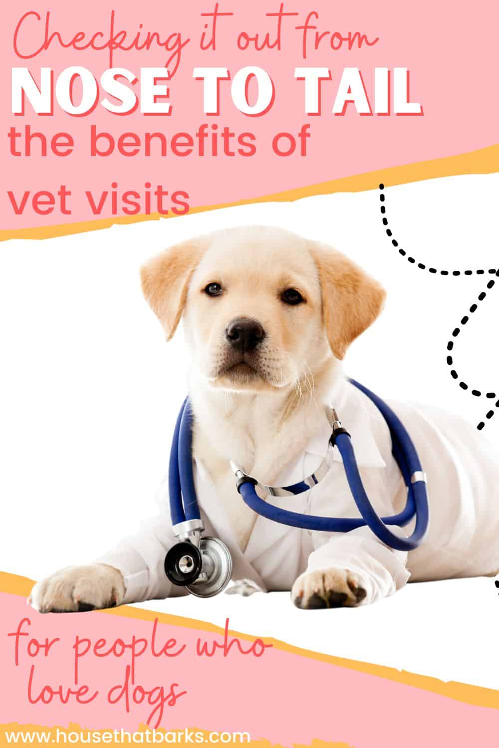 Nose To Tails The Benefits Of Routine Vet Visits House That Barks