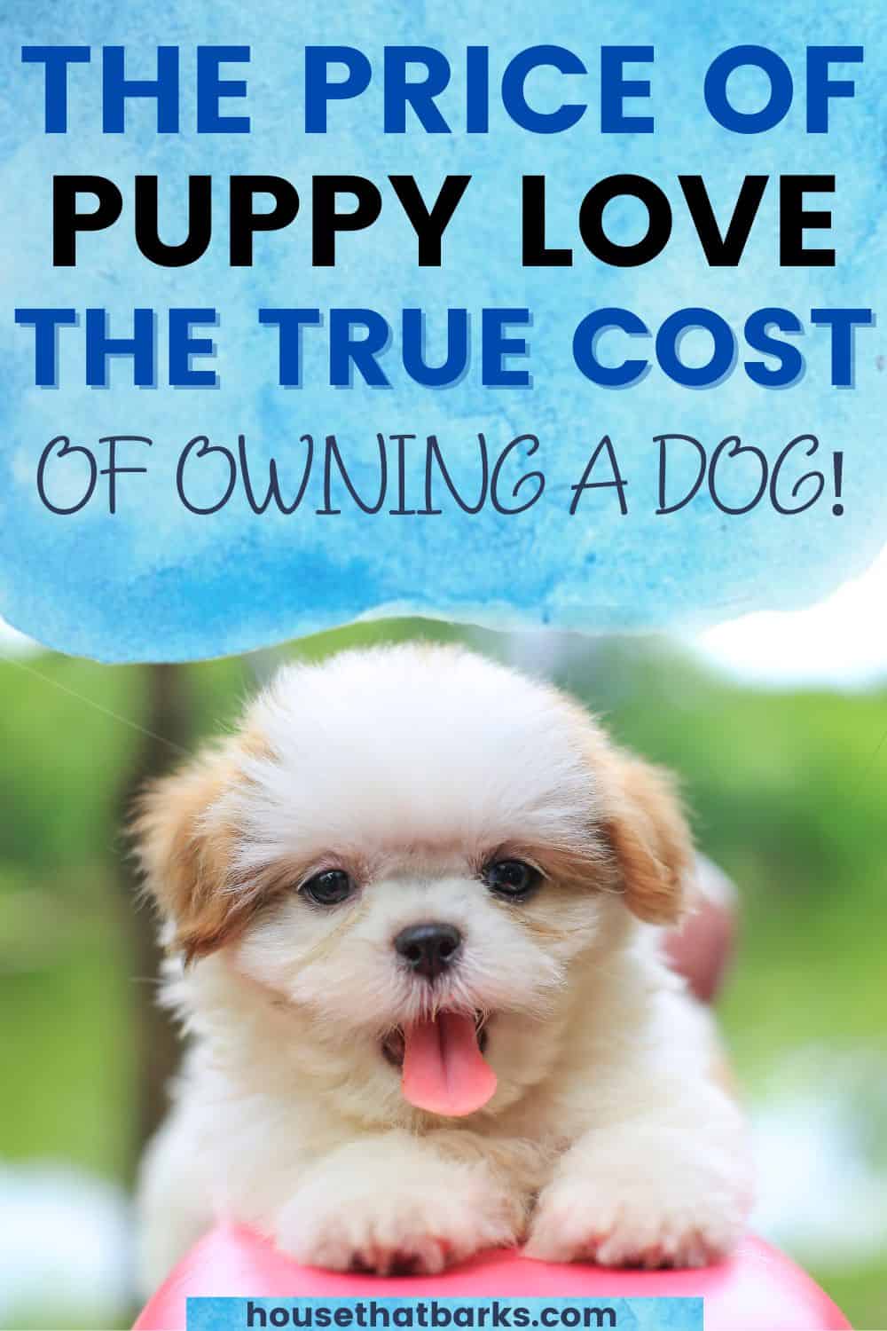 owning a dog pin