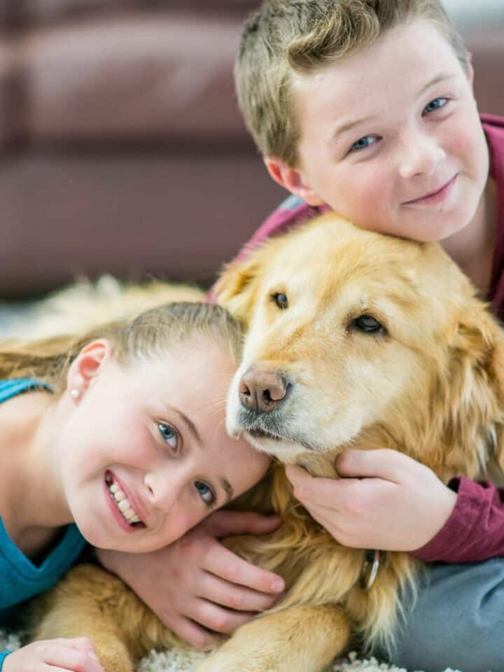 15 Reasons you Should get your Kids a Dog