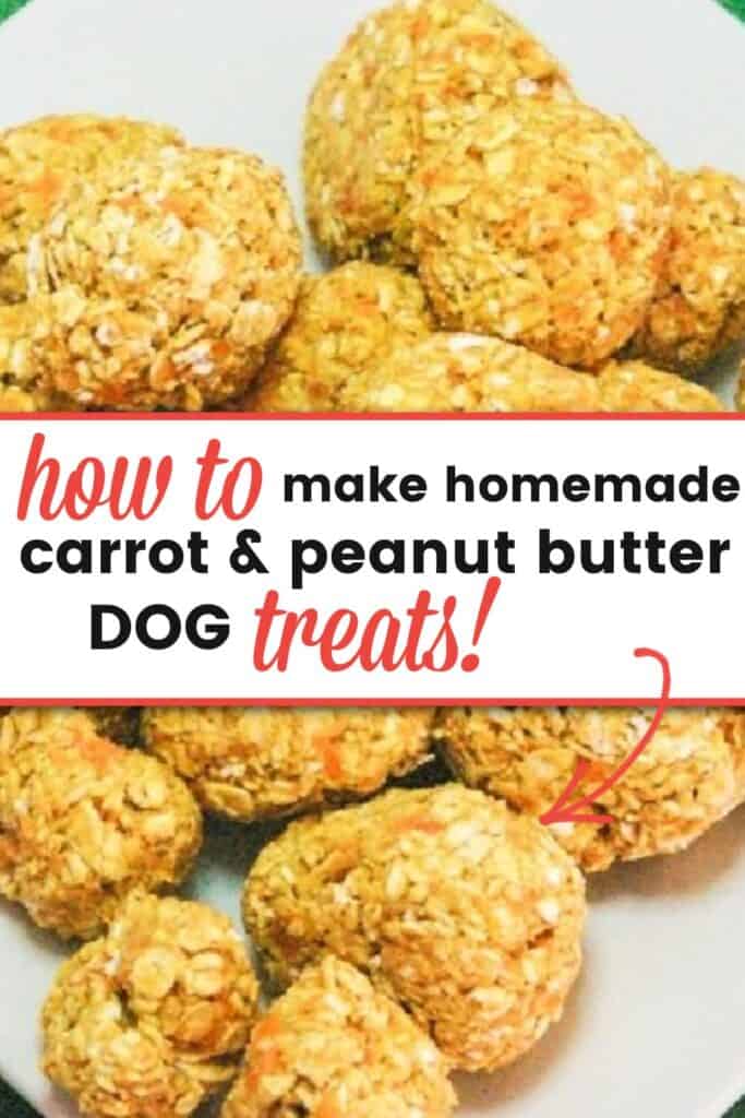 carrot and peanut butter dog treats