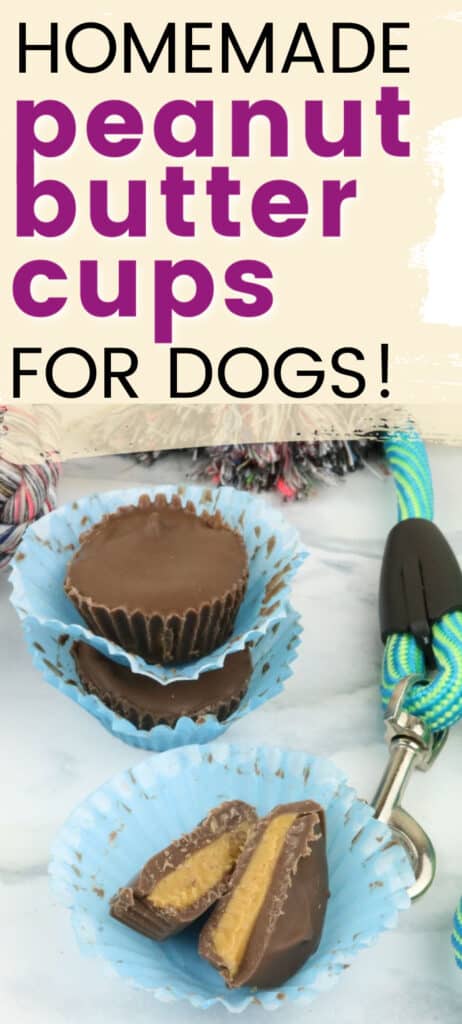 peanut butter cups for dogs