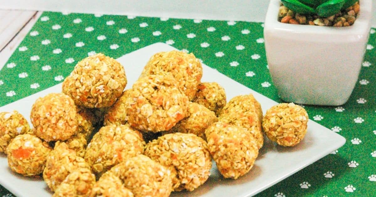 3 Ingredient Carrot Peanut Butter Dog Treats ( No Bake ) House That Barks