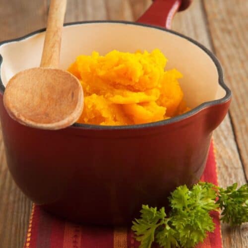 10 Amazing Health Benefits Pumpkin for Dogs House that Barks