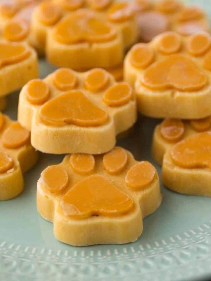 pumpkin paw pups