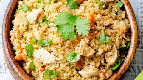 quinoa chicken dog food