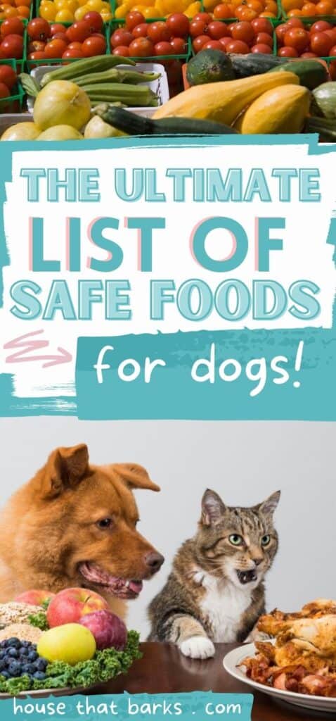 safe food for dogs PIN