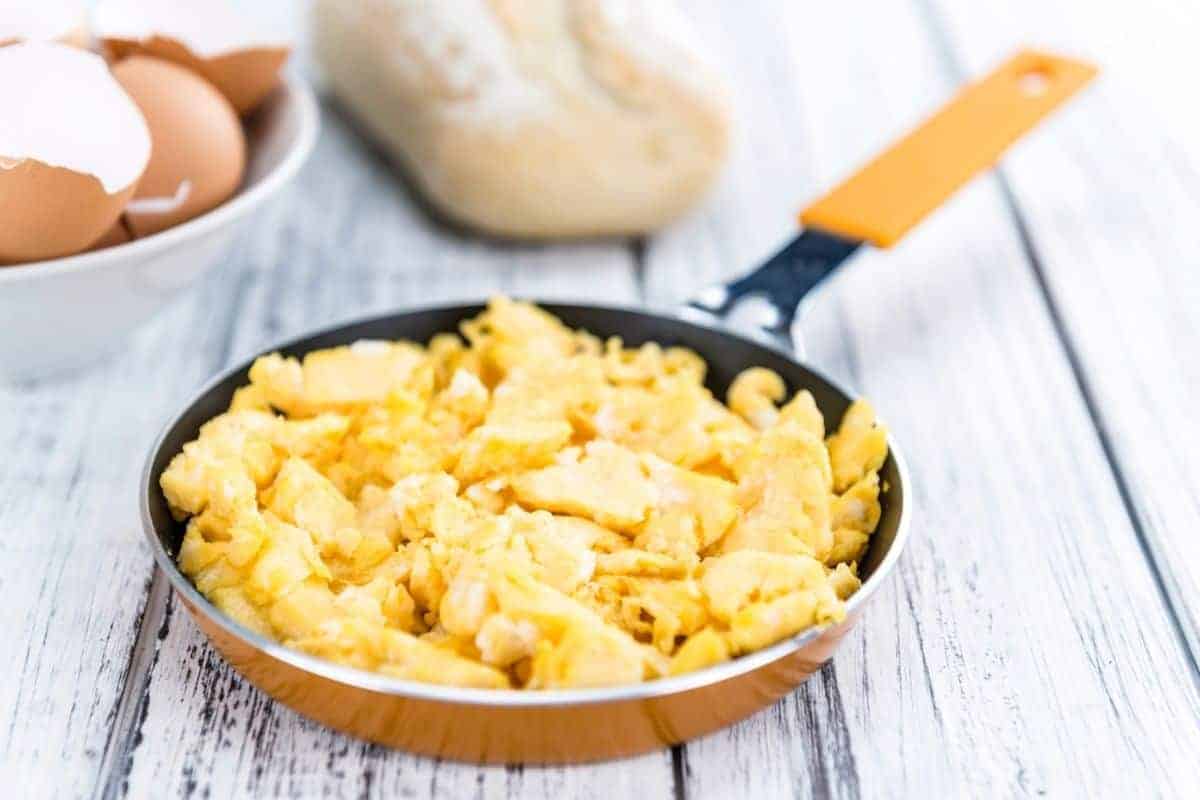 scrambled eggs for dogs