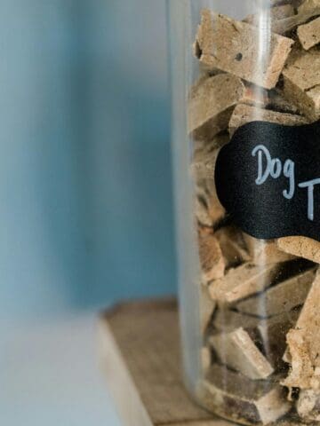 storing homemade dog treats