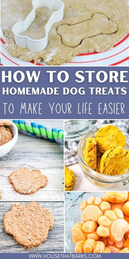 storing homemade dog treats