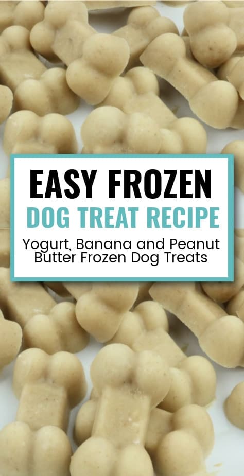 Yogurt, Banana and Peanut Butter Dog Treat Recipes