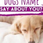 your dogs name pin