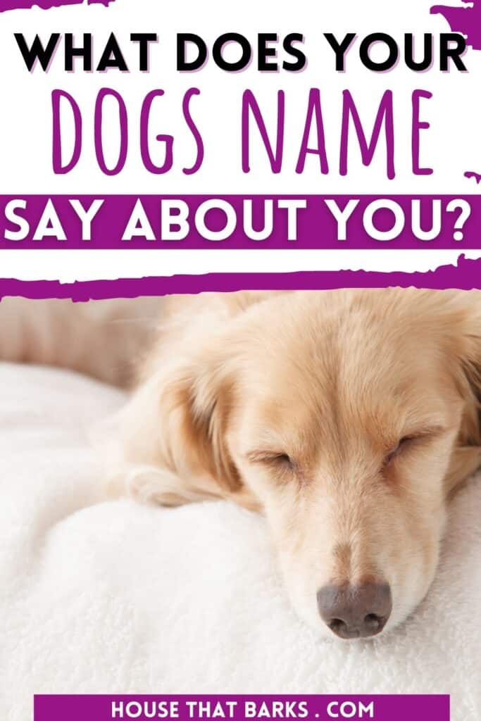 your dogs name pin